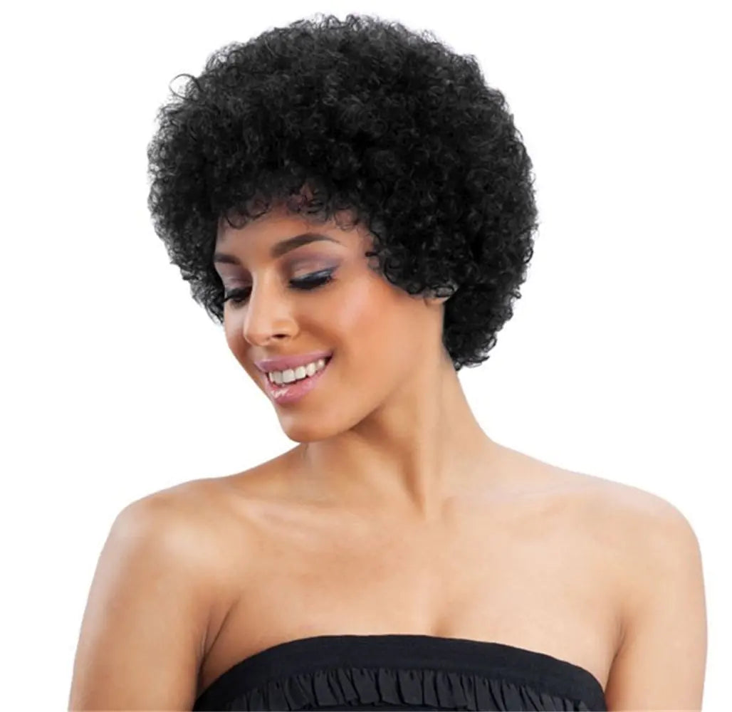 Afro Fashion Curly Fluffy Wig