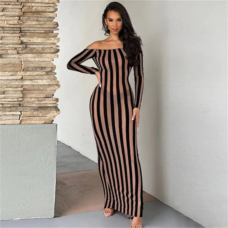 Elegant Slim-fit Long Sleeve Mesh Dress for Women