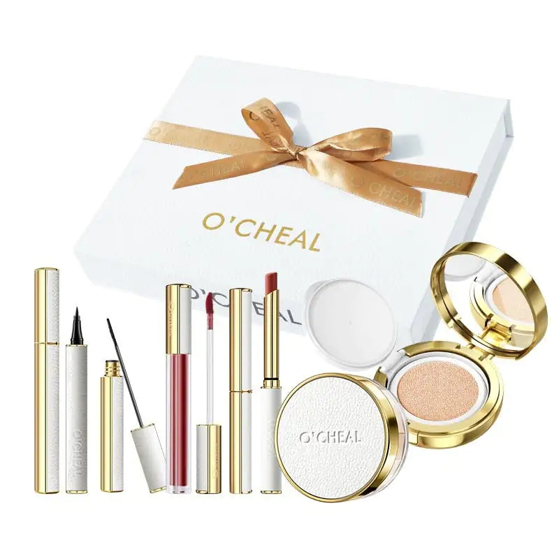Cosmetics Makeup Lipstick Gift Set - Comfort Gift Box
