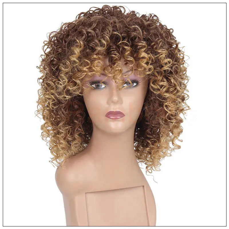 Black Fluffy Small Curly Wig